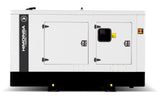 Yanmar Himoninsa Diesel Generator Model: HYW-100 T5
